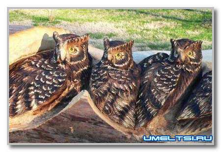 Резьба по дереву фото Резьба по дереву фото