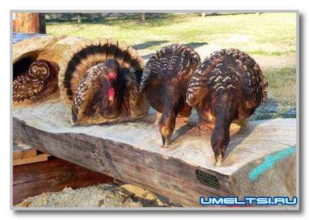 Резьба по дереву фото Резьба по дереву фото