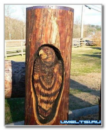 Резьба по дереву фото