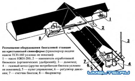 Биогаз на даче или на ферме