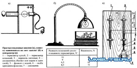 Домашний инкубатор