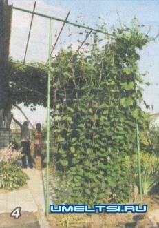 Декоративный бассейн(водоем) на даче отчет мастера Декоративный бассейн(водоем) на даче отчет мастера