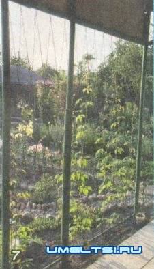 Декоративный бассейн(водоем) на даче отчет мастера Декоративный бассейн(водоем) на даче отчет мастера