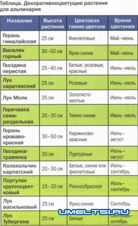 Как создать альпийские горки своими руками