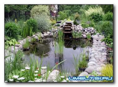 Водоем своими руками Водоем своими руками