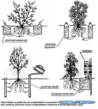 Капельный полив своими руками