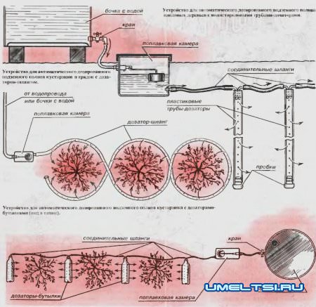 Капельный полив своими руками