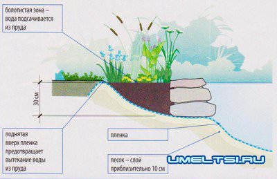 Пруд своими руками. Как избежать ошибок при создании водоема? Пруд своими руками. Как избежать ошибок при создании водоема?