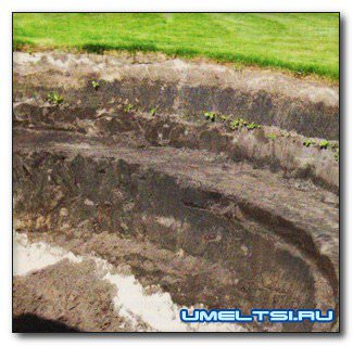 Пруд своими руками. Как избежать ошибок при создании водоема? Пруд своими руками. Как избежать ошибок при создании водоема?