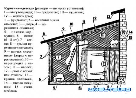 Курятник своими руками