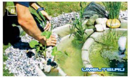 Искусственные водоёмы: организовываем водоем на даче своими руками Искусственные водоёмы: организовываем водоем на даче своими руками