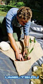 Искусственные водоёмы: организовываем водоем на даче своими руками Искусственные водоёмы: организовываем водоем на даче своими руками