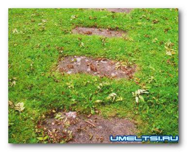 Дорожки в саду под разные стили Дорожки в саду под разные стили