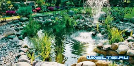 Искусственные водоёмы: организовываем водоем на даче своими руками