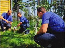 Канализация своими руками Канализация своими руками