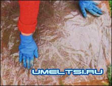 Купальня для птиц Купальня для птиц