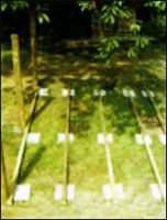 Ограждения для террасы Ограждения для террасы