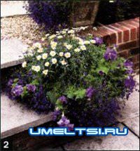 Садовые лестницы Садовые лестницы