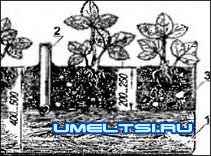 Системы капельного полива