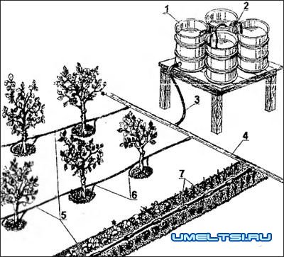 Системы капельного полива
