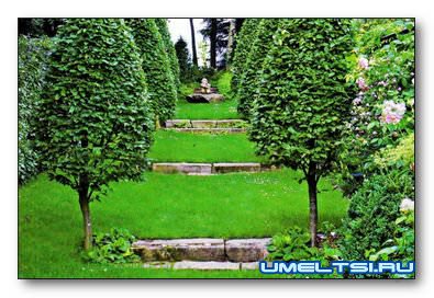 Раз ступенька, два ступенька