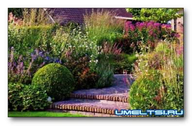 Раз ступенька, два ступенька