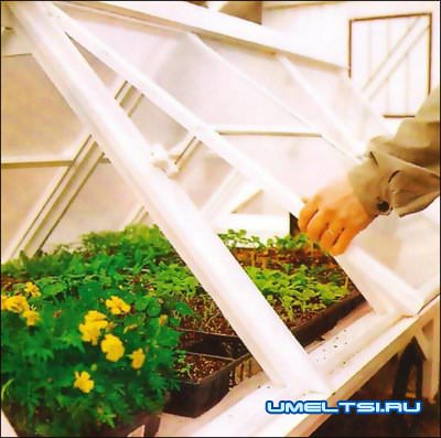 Мобильная теплица своими руками Мобильная теплица своими руками