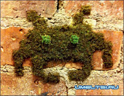 Граффити из мха Граффити из мха