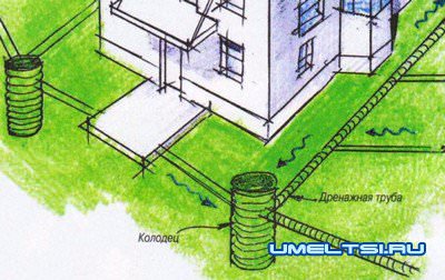 Дренаж участка Дренаж участка