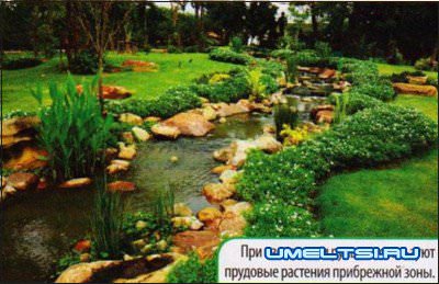 Водоем на даче: создаем русло, оформление, декорирование Водоем на даче: создаем русло, оформление, декорирование