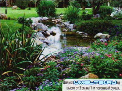 Водоем на даче: создаем русло, оформление, декорирование Водоем на даче: создаем русло, оформление, декорирование