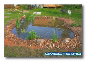 Садовый пруд: пошаговое изготовление своими руками Садовый пруд: пошаговое изготовление своими руками