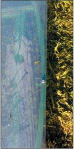 Теплицы из поликарбоната и каркаса из профтрубы своими руками Теплицы из поликарбоната и каркаса из профтрубы своими руками