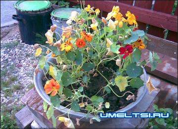 Вазоны для цветов своими руками Вазоны для цветов своими руками