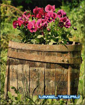 Вазоны для цветов своими руками Вазоны для цветов своими руками