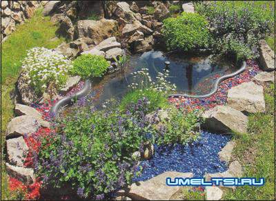 Пруд в саду Пруд в саду