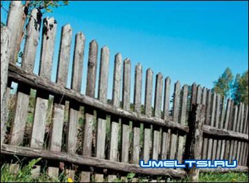 правильное сохранение древисины правильное сохранение древисины