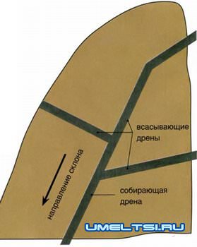 Осушение участка с помощью дренажных систем Осушение участка с помощью дренажных систем