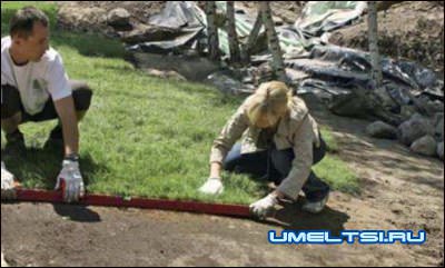 Газон своими руками