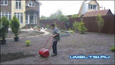 Газон своими руками
