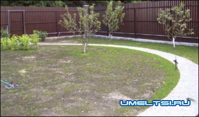 Газон своими руками