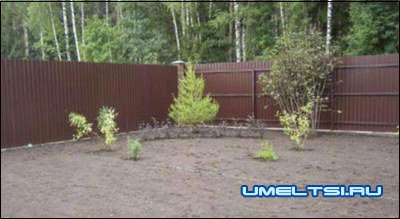 Газон своими руками