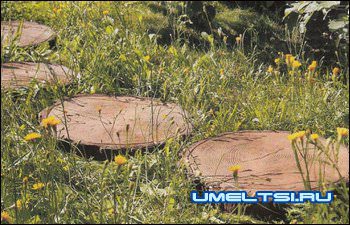 Какие сделать дорожки на даче Какие сделать дорожки на даче