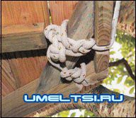 Детская игровая площадка Детская игровая площадка