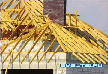 Основа скатной крыши Основа скатной крыши