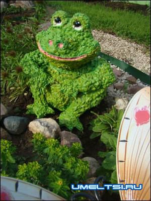 жаба из пены