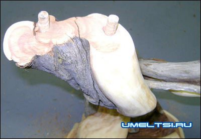 вставили шканты вставили шканты