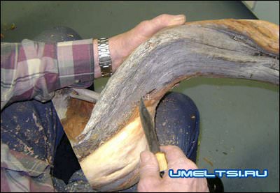 зачистка коряги зачистка коряги