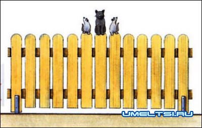 Идеи для сада Идеи для сада