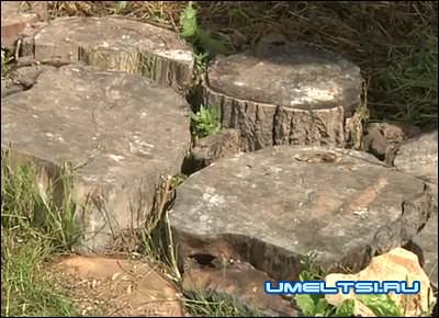 тропинка из хлама